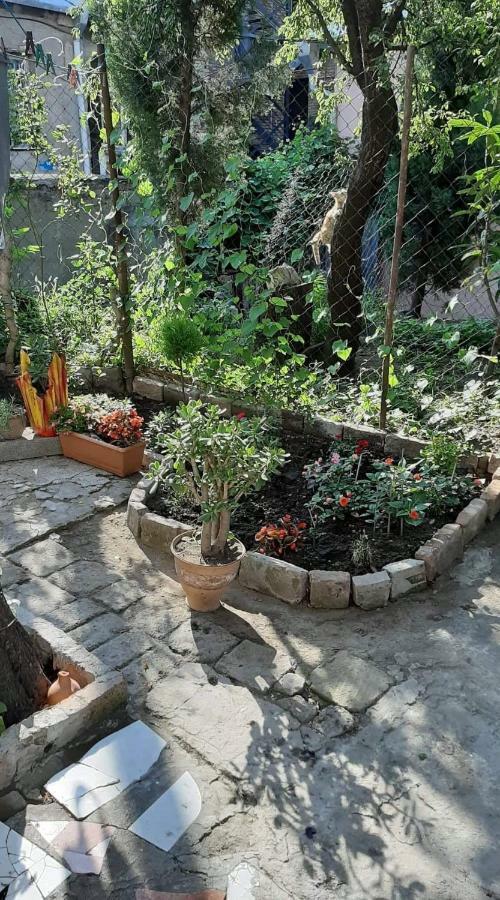 Newly Renovated House Apartment Tbilisi
