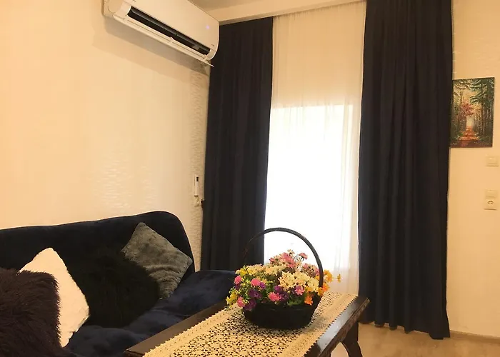 Newly Renovated House