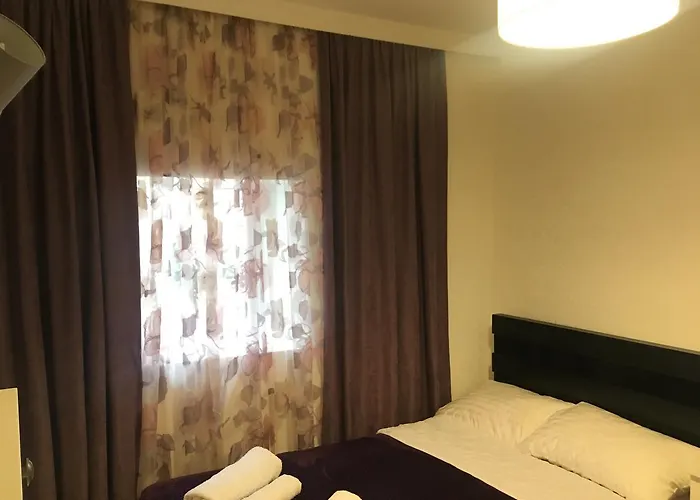 Newly Renovated House