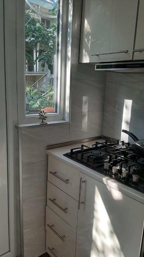 Apartment Newly Renovated House Tbilisi