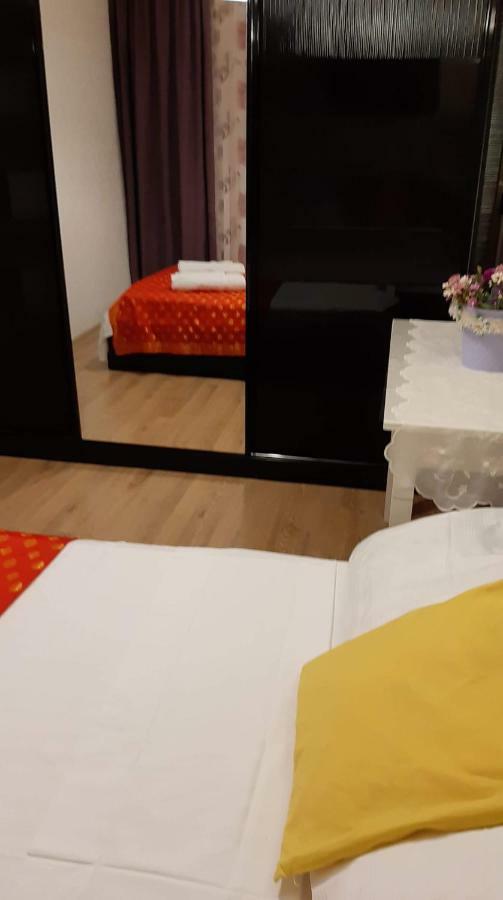 Newly Renovated House *