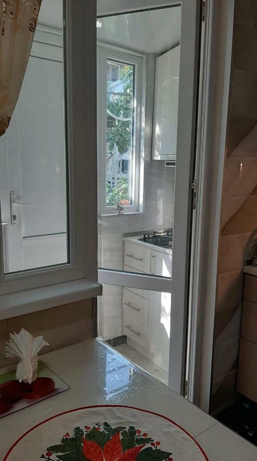 Newly Renovated House