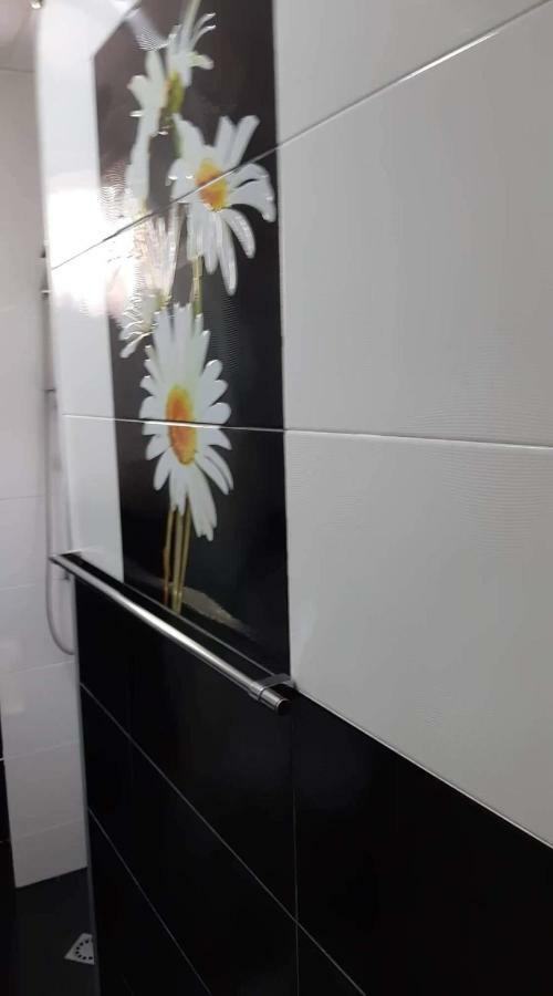Apartment Newly Renovated House Tbilisi