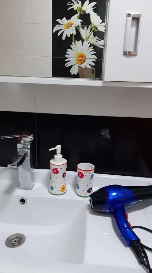 Newly Renovated House Apartment Tbilisi